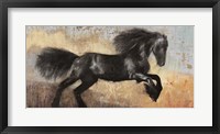 Framed Black Stallion