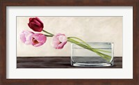 Framed Modern Composition, Tulips
