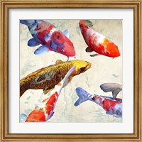 Framed Koi I