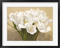 Framed Tulipes Blanches