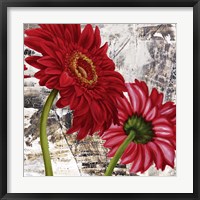 Framed Red Gerberas III