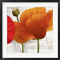 Framed Summer Poppies II