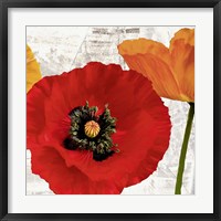 Framed Summer Poppies III