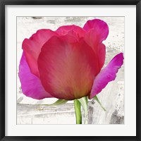 Framed Spring Roses II