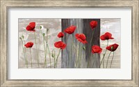 Framed Country Poppies