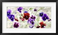 Framed Field of Pansies