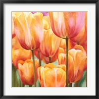 Framed Spring Tulips II