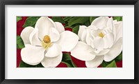 Framed Magnolie in Fiore