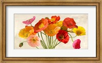 Framed Poppies in Spring