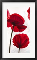 Reds II Framed Print