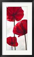 Reds III Framed Print