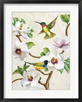 Framed Magnolia and Birds