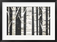 Framed Birch Forest