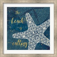 Framed 'Coastal Lace II' border=