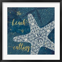 Framed 'Coastal Lace II' border=