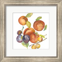 Framed 'Harvest Medley I' border=