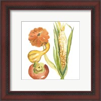 Framed 'Harvest Medley V' border=