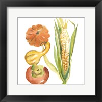 Framed 'Harvest Medley V' border=