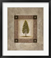 European Pine I Framed Print