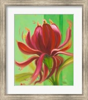 Framed Exotica I