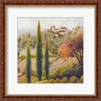 Framed Tuscany Vineyard II