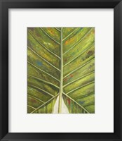 Framed 'Green Zoom III' border=