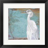 Tropic Heron II Framed Print