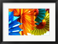 Framed Paper Flowers