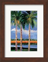 Framed Palm Coast