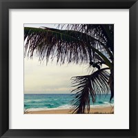 Framed Palm and Beach