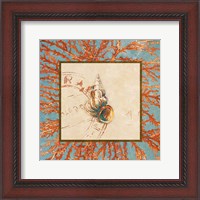 Framed 'Coral Medley Shell III' border=