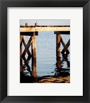 Framed Waterside Beauty I