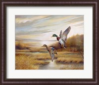 Framed Mallards