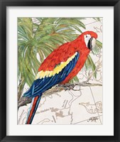 Framed 'Another Bird in Paradise I' border=