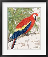 Another Bird in Paradise I Framed Print