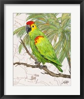 Another Bird in Paradise II Framed Print