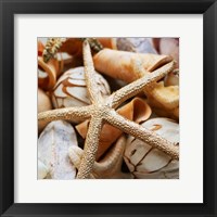 Framed Gold Starfish I