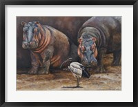 Framed Baby Hippos