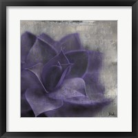 Lavender Succulent II Framed Print