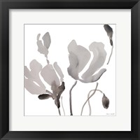 Framed Gray Tonal Magnolias III