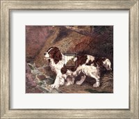 Framed Spaniel