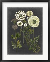 Bookplate Floral II Framed Print