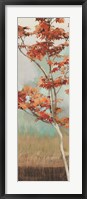 Framed Maple Tree I