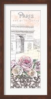 Framed Paris Roses Panel VII