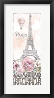 Framed Paris Roses Panel VIII