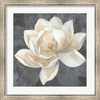 Framed Majestic Magnolia Neutral Sq