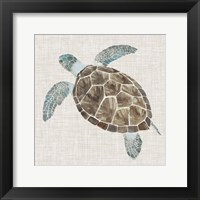 Framed Sea Turtle II