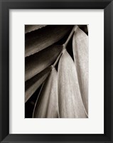 Framed Tropical Plant II