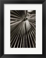 Framed Palm Frond I