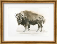 Framed Buffalo Bill
